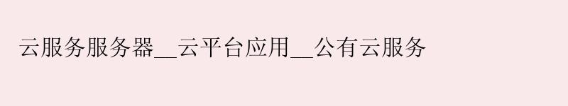 云服务服务器__云平台应用__公有云服务